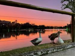 Terreno para Venda em Macaé - 2