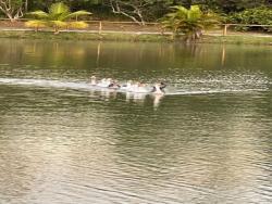 Terreno para Venda em Macaé - 4