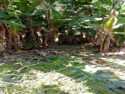 Terreno para Venda em Macaé - 2