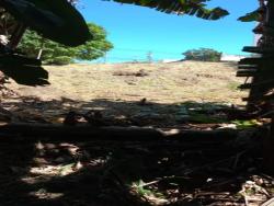 Terreno para Venda em Macaé - 3